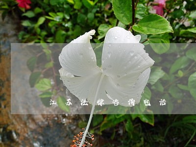 江苏法律咨询电话 江苏法律咨询电话