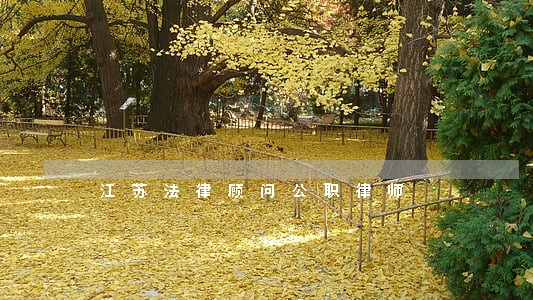 江苏法律顾问公职律师 江苏法律顾问公职律师