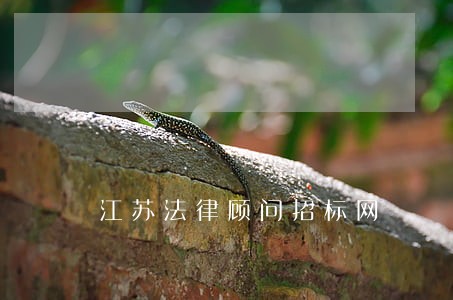 江苏法律顾问招标网 江苏法律顾问招标网