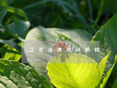 江苏法律顾问机构 江苏法律顾问机构