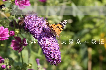 江苏法院判决聚众斗殴缓刑 江苏法院判决聚众斗殴缓刑