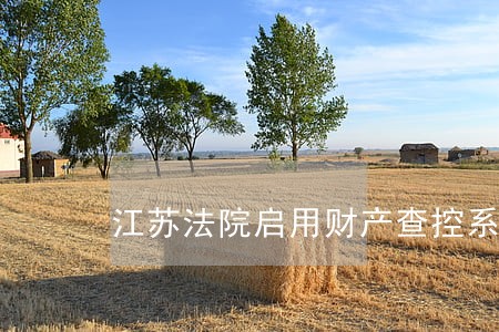 江苏法院启用财产查控系统 江苏法院启用财产查控系统