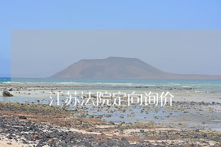江苏法院定向询价