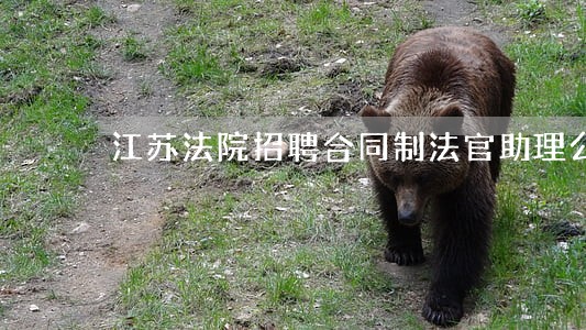 江苏法院招聘合同制法官助理公告