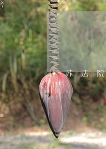 江苏法院破产清算事务所 江苏法院破产清算事务所