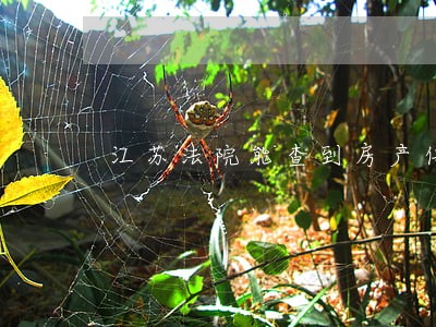 江苏法院能查到房产信息吗
