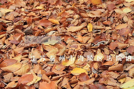 江苏泰州市海陵区法院拍卖房