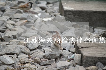 江苏海关商检法律咨询热线 江苏海关商检法律咨询热线