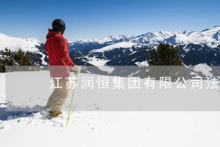 江苏润恒集团有限公司法人 江苏润恒集团有限公司法人