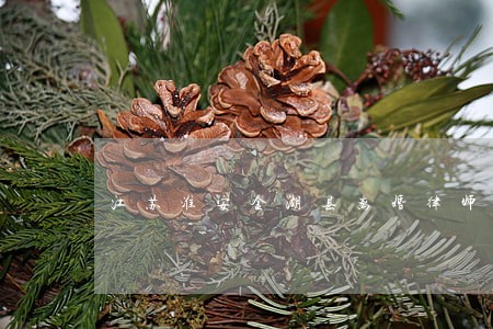 江苏淮安金湖县离婚律师在线解答 江苏淮安金湖县离婚律师在线解答