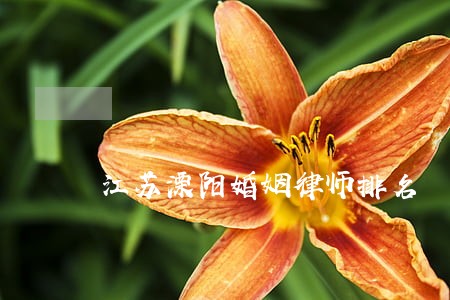 江苏溧阳婚姻律师排名 江苏溧阳婚姻律师排名