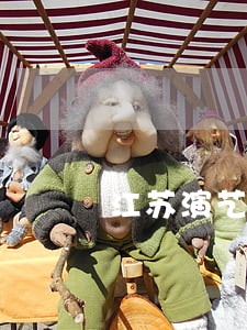 江苏演艺合同纠纷律师 江苏演艺合同纠纷律师