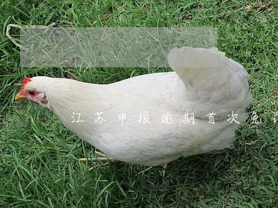 江苏申报逾期首次免罚 江苏申报逾期首次免罚
