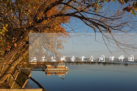江苏盐城专业合同律师团队 江苏盐城专业合同律师团队