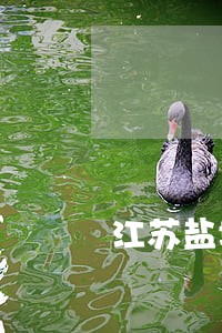 江苏盐城债务合同律师委托咨询 江苏盐城债务合同律师委托咨询