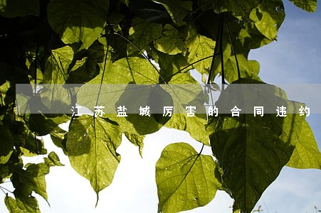 江苏盐城厉害的合同违约案律师 江苏盐城厉害的合同违约案律师