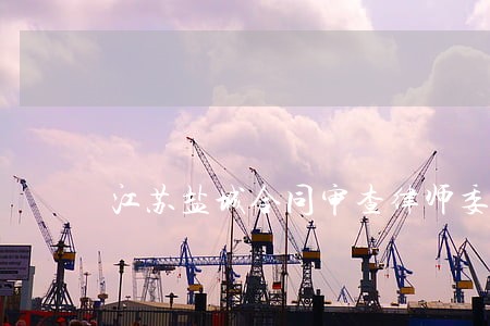 江苏盐城合同审查律师委托收费