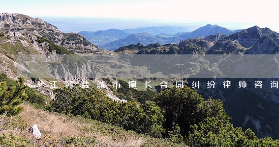 江苏盐城市擅长合同纠纷律师咨询 江苏盐城市擅长合同纠纷律师咨询