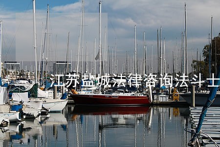 江苏盐城法律咨询法斗士 江苏盐城法律咨询法斗士