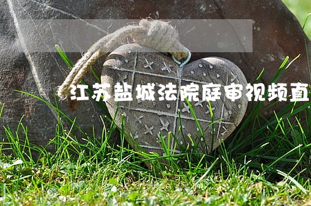 江苏盐城法院庭审视频直播