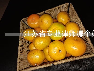 江苏省专业律师哪个好 江苏省专业律师哪个好