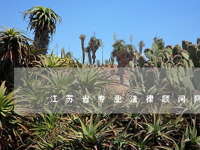 江苏省专业法律顾问网 江苏省专业法律顾问网