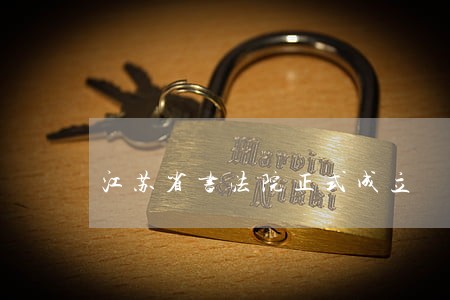 江苏省书法院正式成立 江苏省书法院正式成立