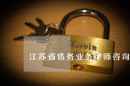 江苏省债务业务律师咨询 江苏省债务业务律师咨询