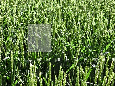 江苏省债务合同律师事务所 江苏省债务合同律师事务所