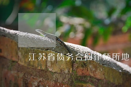 江苏省债务合同律师所地址 江苏省债务合同律师所地址