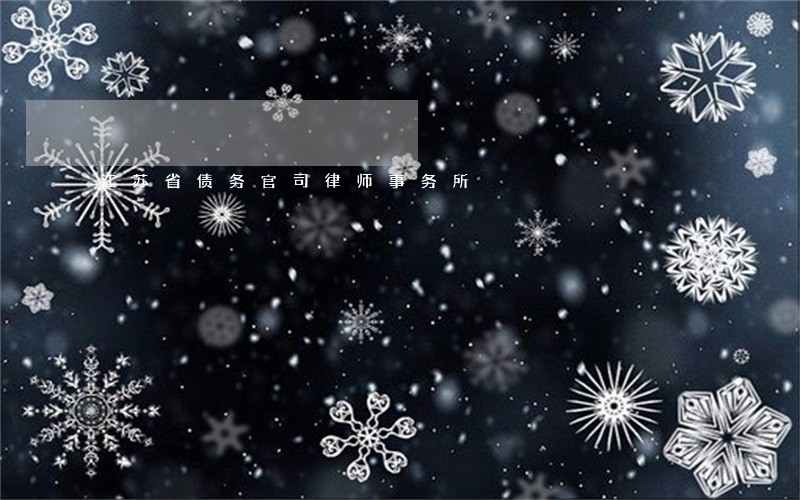 江苏省债务官司律师事务所 江苏省债务官司律师事务所