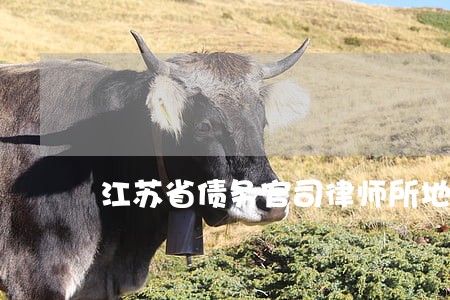 江苏省债务官司律师所地址 江苏省债务官司律师所地址
