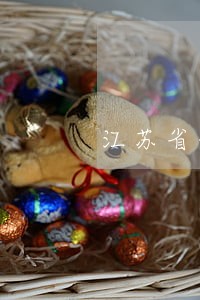 江苏省债务律师排行