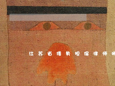 江苏省债务担保律师哪个强 江苏省债务担保律师哪个强