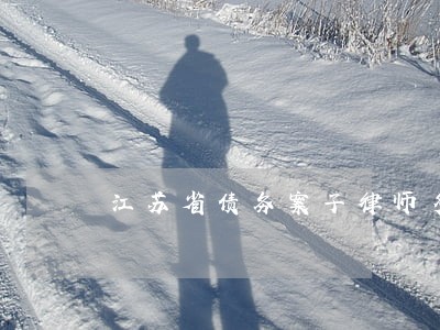 江苏省债务案子律师多少钱