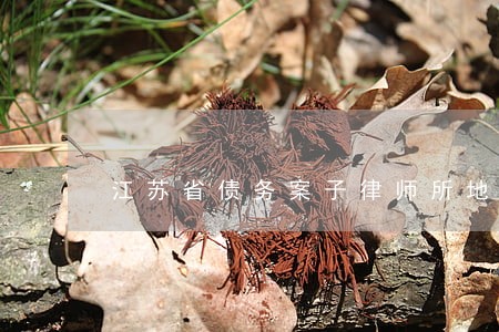 江苏省债务案子律师所地址 江苏省债务案子律师所地址