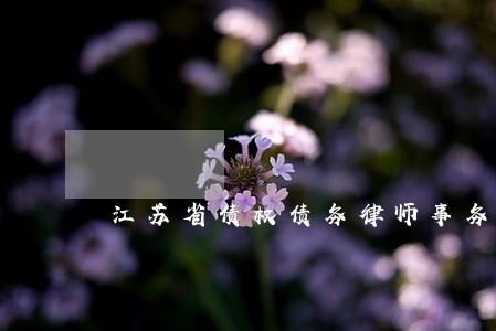 江苏省债权债务律师事务所 江苏省债权债务律师事务所
