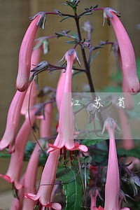 江苏省债权债务律师费用咨询 江苏省债权债务律师费用咨询