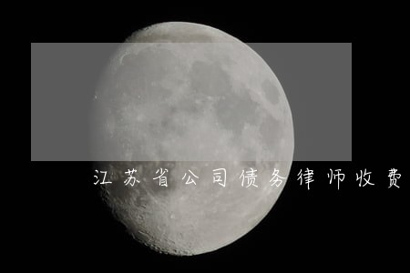 江苏省公司债务律师收费标准 江苏省公司债务律师收费标准