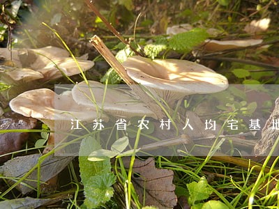 江苏省农村人均宅基地法规 江苏省农村人均宅基地法规
