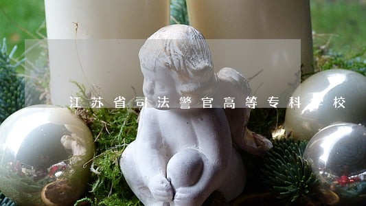 江苏省司法警官高等专科学校 江苏省司法警官高等专科学校