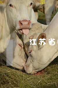江苏省哪个律师对刑事案件最专业 江苏省哪个律师对刑事案件最专业