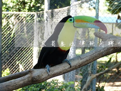 江苏省委法律顾问聘任 江苏省委法律顾问聘任