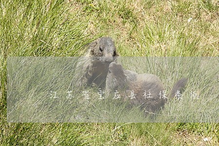 江苏省宝应县社保条例 江苏省宝应县社保条例