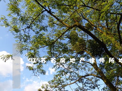 江苏省房地产律师所地址 江苏省房地产律师所地址