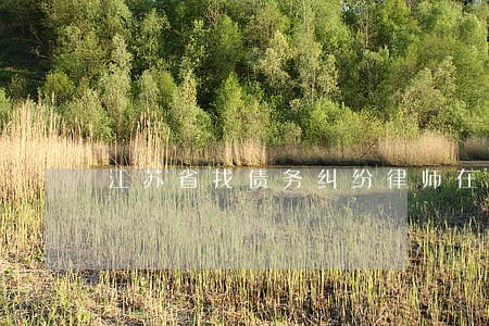 江苏省找债务纠纷律师在线咨询 江苏省找债务纠纷律师在线咨询