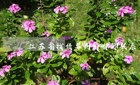 江苏省找债务纠纷律师联系方式 江苏省找债务纠纷律师联系方式