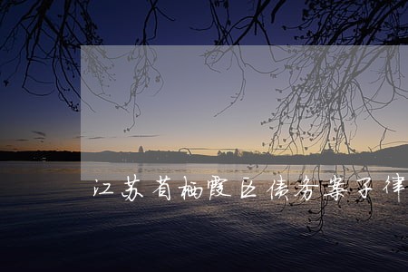江苏省栖霞区债务案子律师 江苏省栖霞区债务案子律师