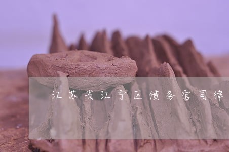 江苏省江宁区债务官司律师 江苏省江宁区债务官司律师