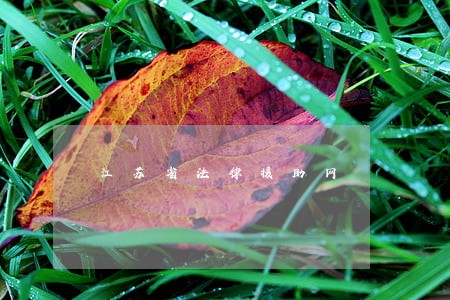 江苏省法律援助网